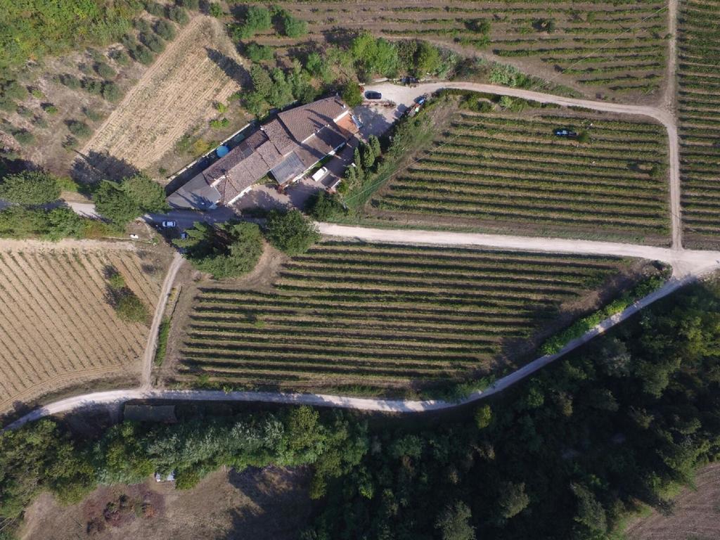 Agriturismo Lucciano San Casciano in Val di Pesa Extérieur photo